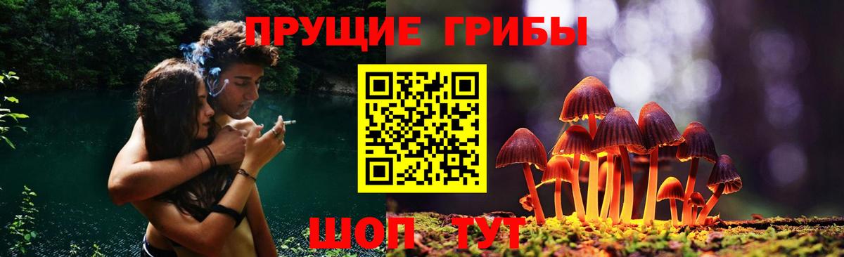 Псилоцибиновые грибы Psilocybine cubensis  Вход с VPN  Люберцы 